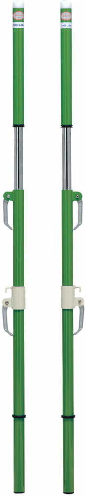 【ポイントアップ中！】 トーエイライト TOEI LIGHT バレーボール 【メーカー直送品】 ソフトバレー・バド支柱 検 ソフトバレーボール バドミントン 体育館 支柱 ネット バレーネット ママさんバレー バドミントン用品 B2746A