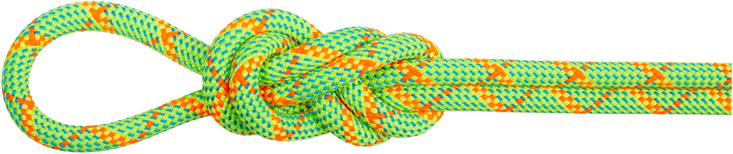 【ポイントアップ中！】 マムート MAMMUT アウトドア 8.0ALPINECOREPROTECTDRYROPE50M ロープ ハイキング トレッキング クライミング 登山 マウンテニアリング 2010-05050 201005050