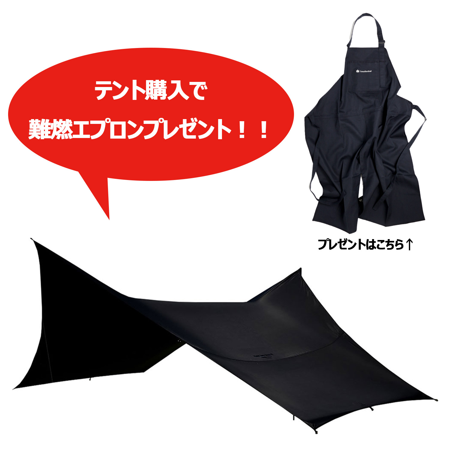 ハンズフリーシューズ