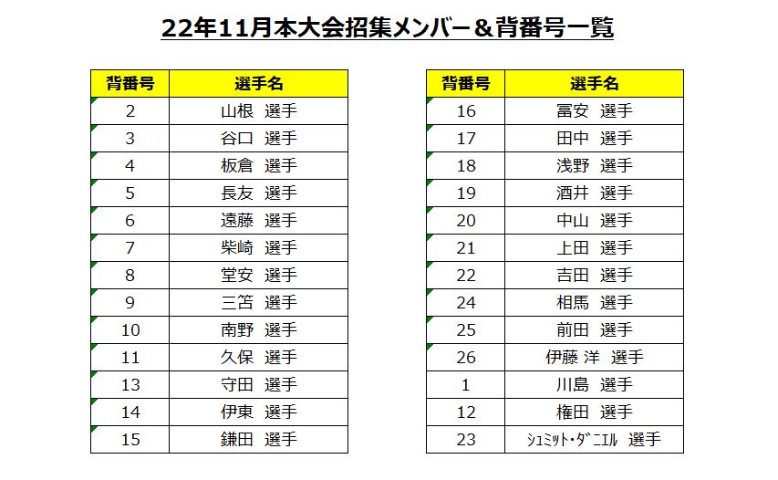 うのにもお得な アディダス adidas サッカー日本代表 2022 ホーム レプリカ ユニフォーム NO15 名前 オフィシャルマーキング付 サッカー  日本代表 ジャパンブルー SX012 HF1845 15ミトマ pacific.com.co