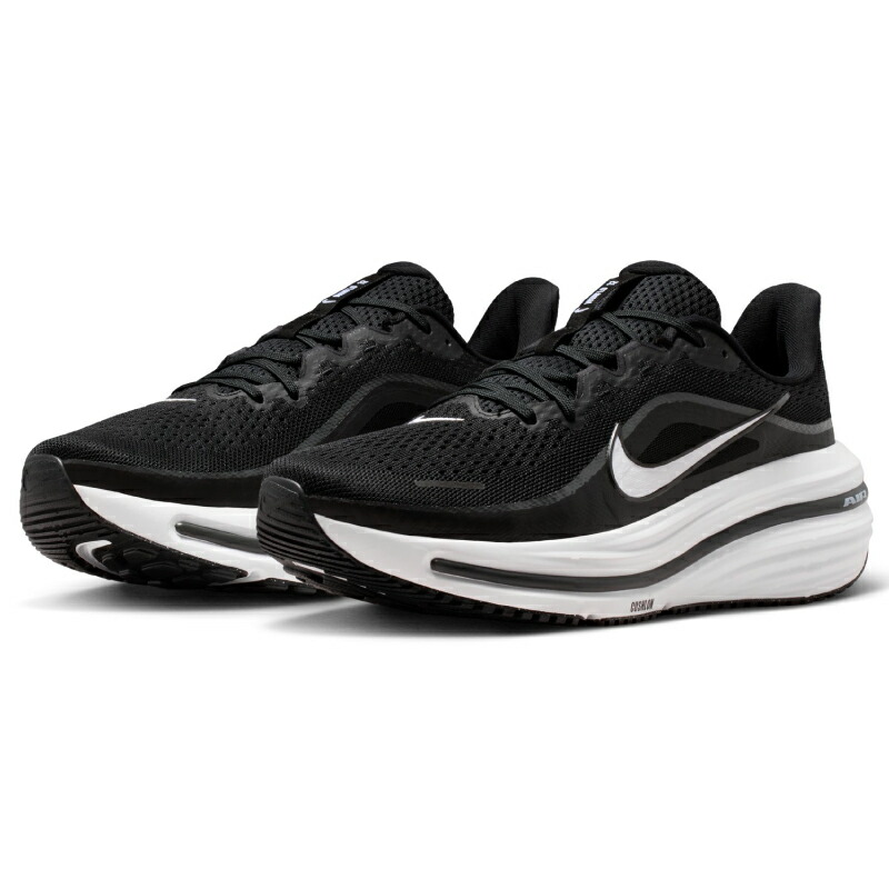 NIKE/ナイキ エア湖 ウィンフロー 12（HV9272-002）