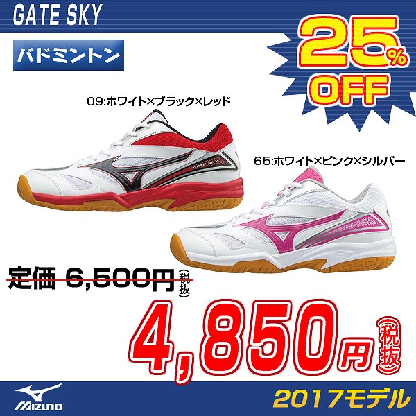 mizuno wave gate