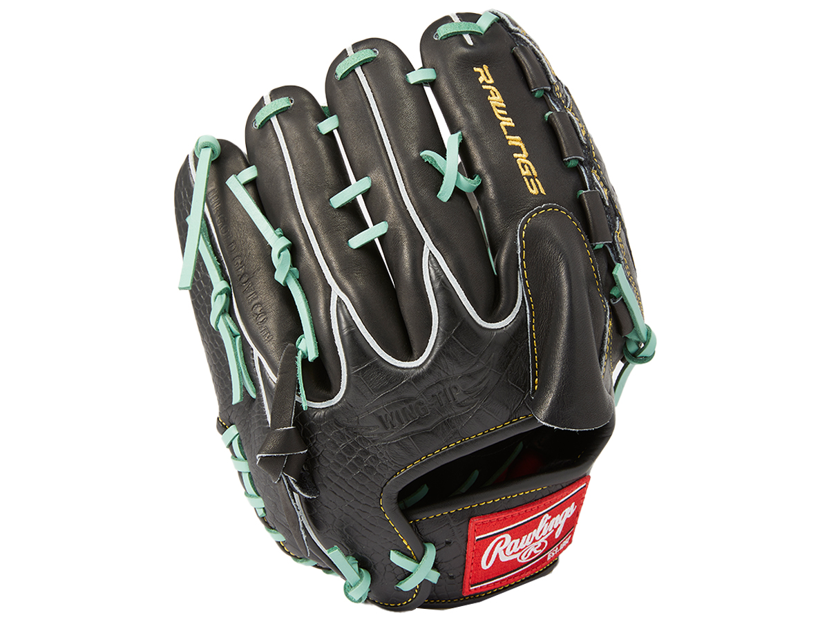 ローリングス Rawlings 2022 COLLECTION DAY GR2NPBT21 NPB OPENING グローブ ブラック 一般  専用グラブ袋付き 投手用 秋山拓巳モデル 軟式 軟式用グラブ 野球 黒 全ての 専用グラブ袋付き