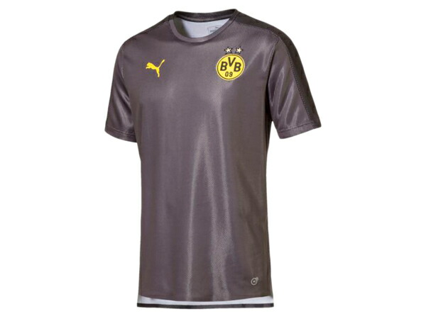 dortmund grey jersey