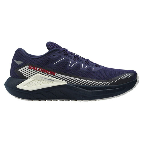 楽天市場】【1月中旬入荷予約商品】 サロモン メンズ DRX DEFY GRVL