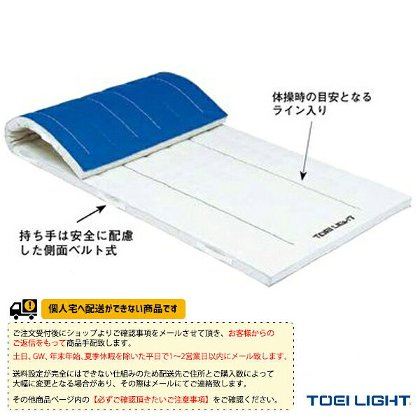 体育館用品設備・備品 TOEI(トーエイ) [送料別途]ミラスポンジマット 5cm厚 抗菌・防臭 9号帆布 すべり止め付 120×240×5cm T-1911