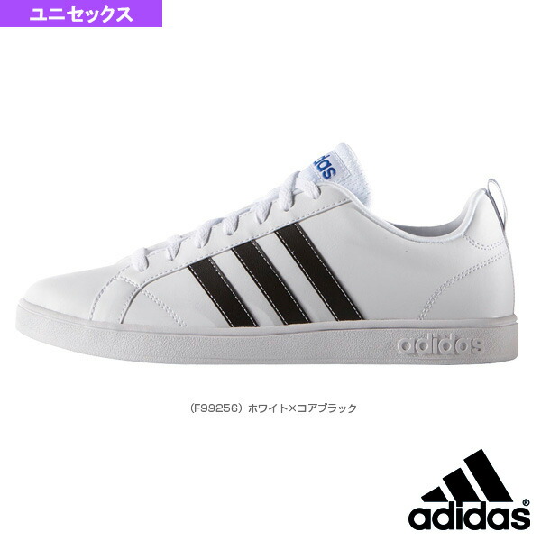 adidad neo