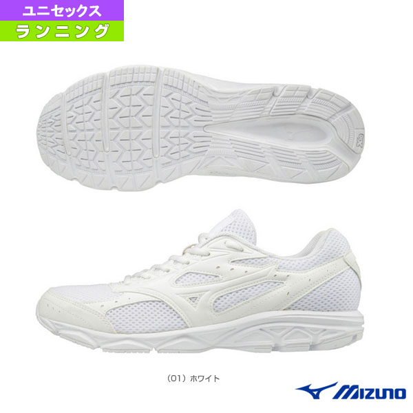 maximizer 20