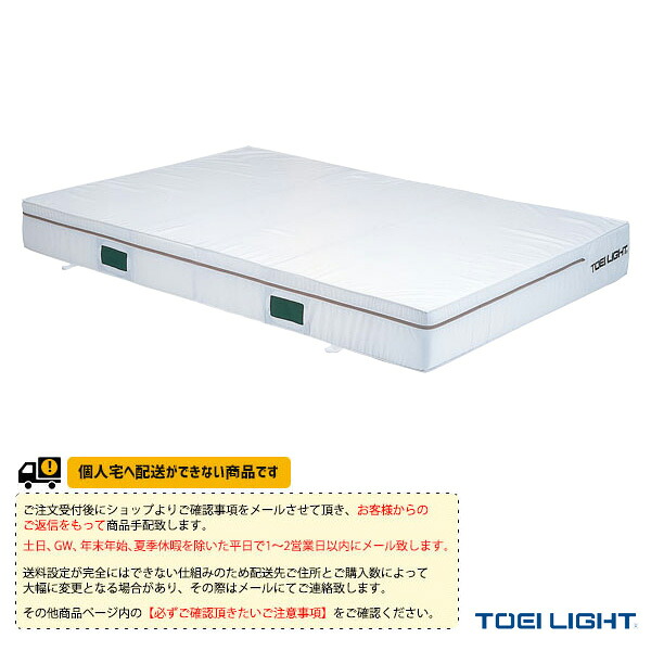 体育館用品設備・備品 TOEI(トーエイ) [送料別途]防炎抗菌エバーマット ポリエステル帆布 屋内用 防カビ 防臭 消臭 200×300×40cm G-1454
