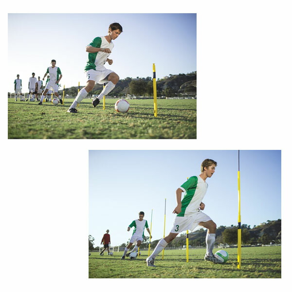 pro training agility poles