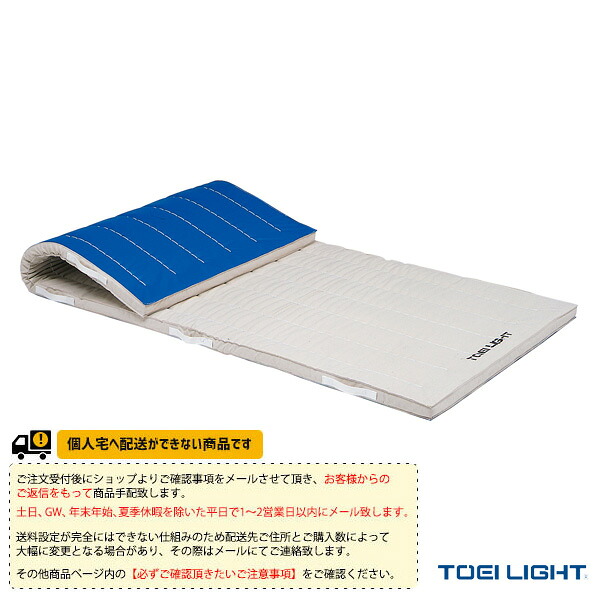 体育館用品設備・備品 TOEI(トーエイ) [送料別途]合成スポンジマット 6cm厚 抗菌 6号帆布 すべり止め付 120×300×6cm T-1805