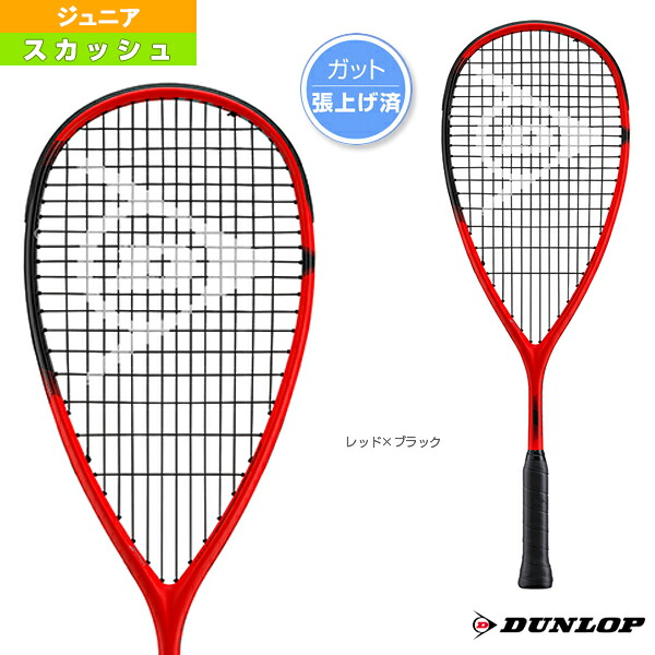 雨の日も好いたらしいに！レイングッズ特集