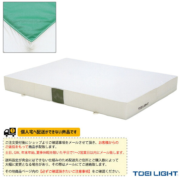 体育館用品設備・備品 TOEI(トーエイ) [送料別途]エバーマット ポリエステル帆布 室内用 すべり止め付 150×200×20cm G-2020