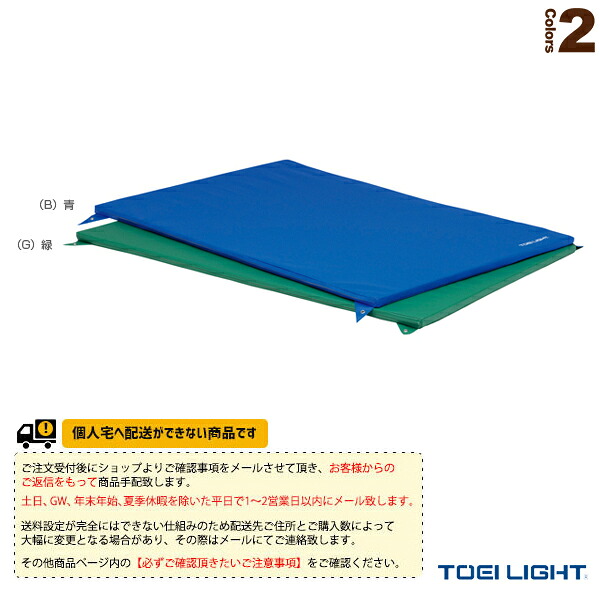 運動場用品設備・備品 TOEI(トーエイ) [送料別途]鉄棒用下敷マット120 T-1256