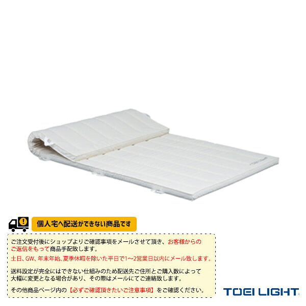 体育館用品設備・備品 TOEI(トーエイ) [送料別途]合成スポンジマット 5cm厚 9号帆布 120×600×5cm T-2460