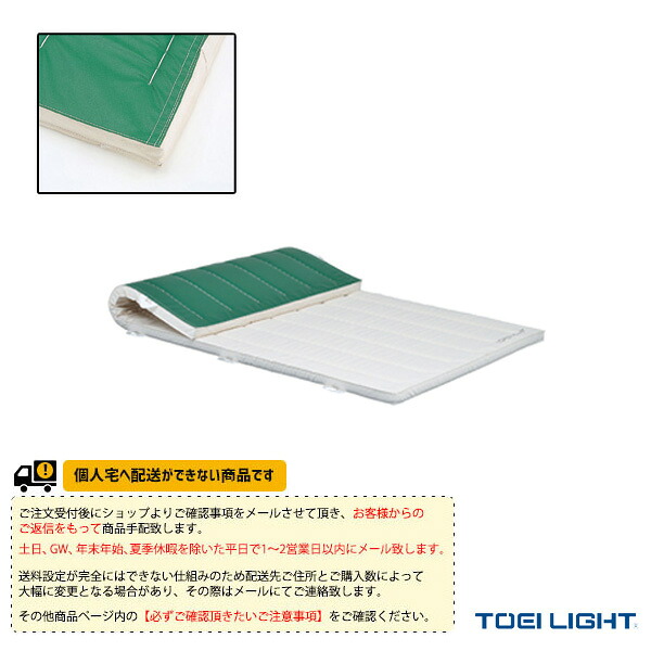体育館用品設備・備品 TOEI(トーエイ) [送料別途]合成スポンジマット 5cm厚 9号帆布 すべり止め付 120×240×5cm T-2469