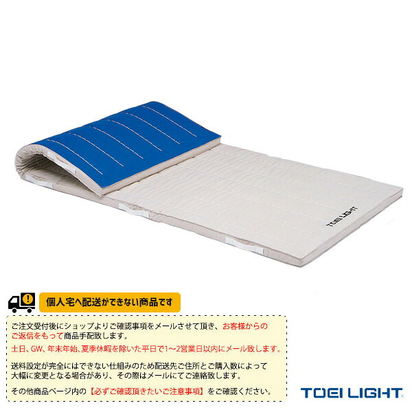 体育館用品設備・備品 TOEI(トーエイ) [送料別途]合成スポンジマット 5cm厚 9号帆布 すべり止め付 120×240×5cm T-2732