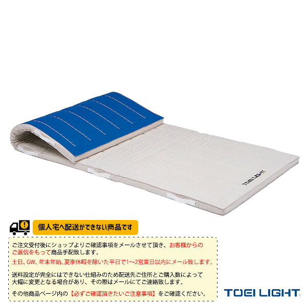 体育館用品設備・備品 TOEI(トーエイ) [送料別途]合成スポンジマット 5cm厚 9号帆布 すべり止め付 120&times;300&times;5cm T-2733 ｜スポーツプラザ