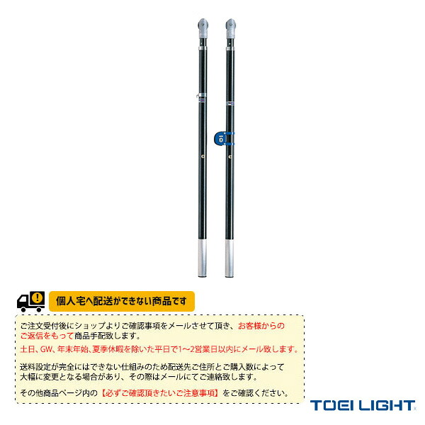 満点の 受注生産品 キャンセル不可 トーエイライト バレーボール支柱 B 5445a 代引 日時指定 北海道沖縄離島配送不可 お取り寄せ品 バレー支柱カーボン 支柱 ポール Williamsav Com