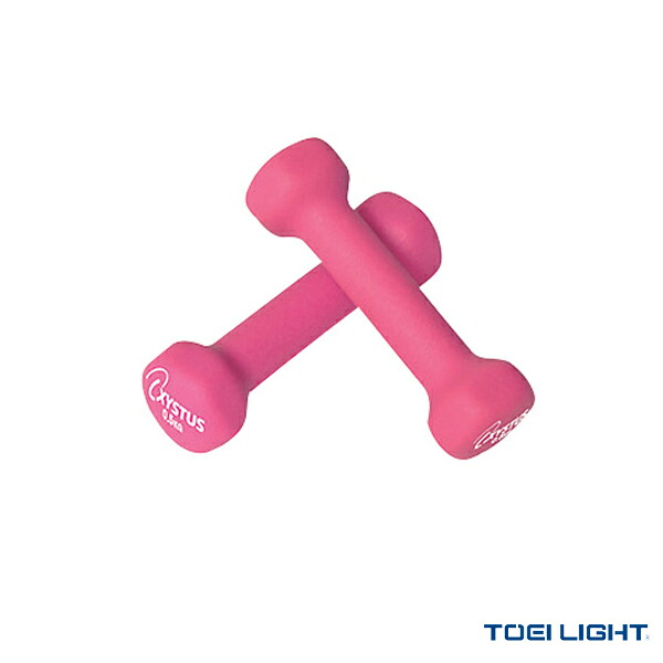 【楽天市場】【フィットネストレーニング用品 TOEI(トーエイ)】 ラバーコートダンベル0.5／0.5kg×2ヶ1組（H-9054） ：スポーツプラザ