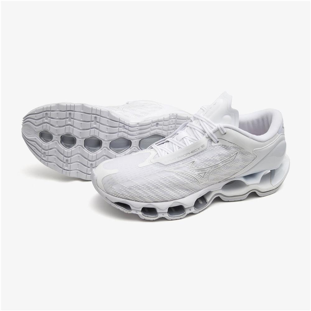 Mizuno Running Shoes Wave Prophecy 12 White/Silver J1GC2383 32