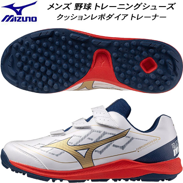 楽天市場】ハタケヤマ HATAKEYAMA 限定カラー トレーニング