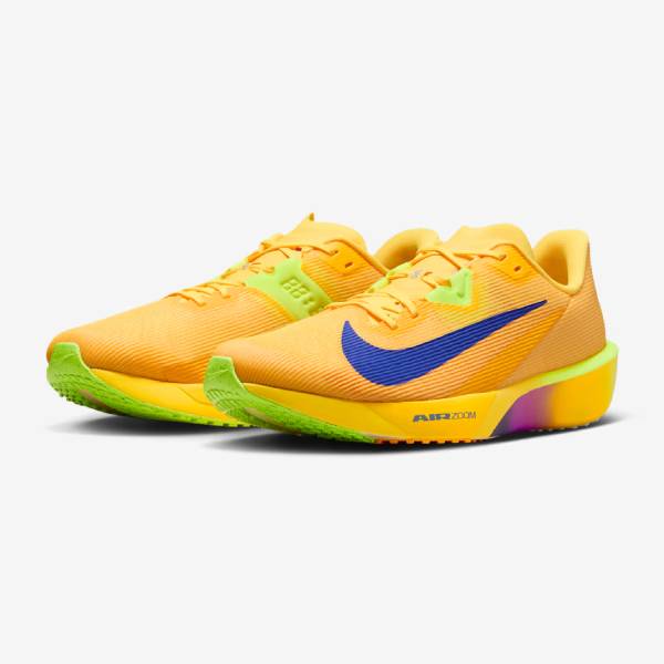 【全品尖んがり3倍+5％OFFクーポン券】\u003cBR\u003eナイキ NIKE メンズ レディース 駈けっくらシューズ エア湖 望遠レンズ 対戦相手 飛球 4 FV6040801