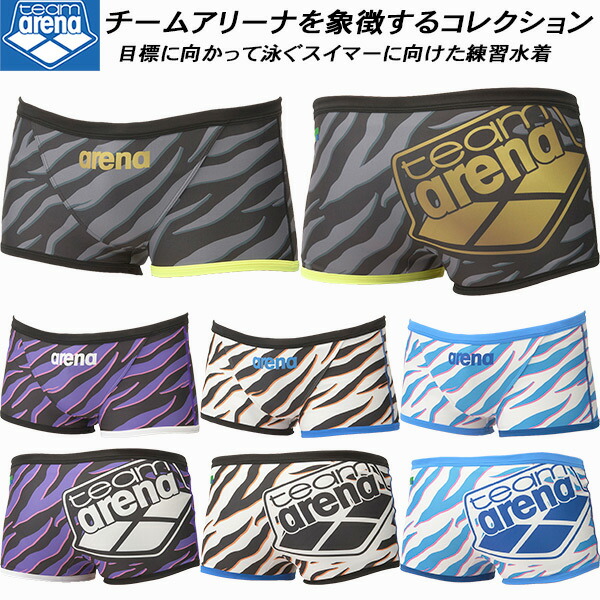 激レア 人気色 エルタフ arena Mサイズ（おまけ付き） 激レア 人気色 エルタフ arena Mサイズ（おまけ付き） スイムショップ