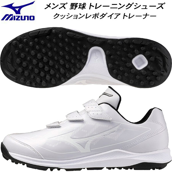 楽天市場】ハタケヤマ HATAKEYAMA 限定カラー トレーニング