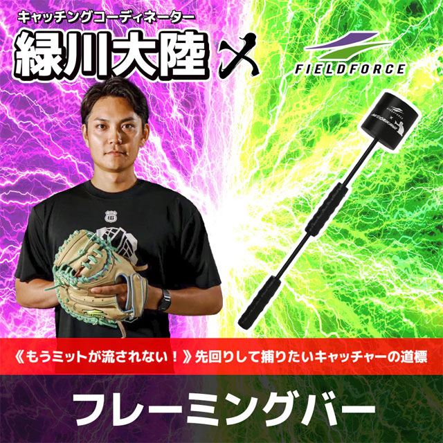 楽天市場】＼最大2500円OFF限定クーポン配布中！／ フィールドフォース