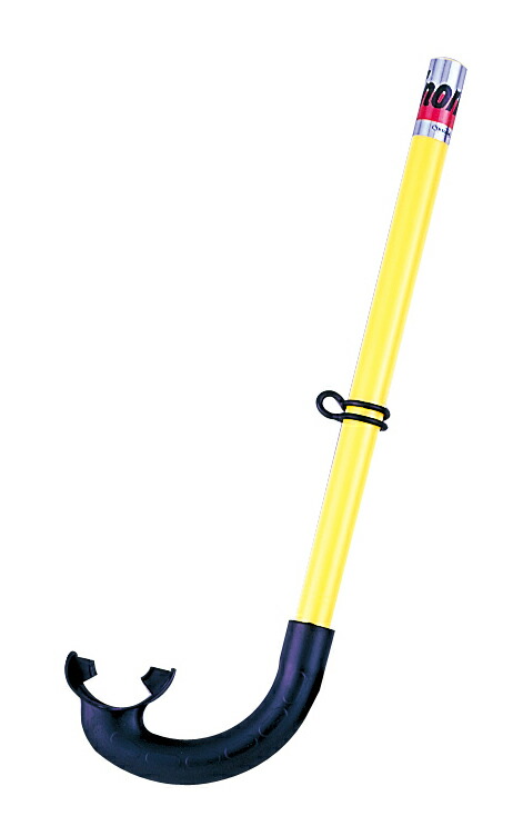 シュノーケル スノーケル まとめ買い 10作業 抗菌 水中眼鏡 青味 Ys26 イエロー 大供入用 ユニセックス オーシャン 海水浴 外国で トラヴェル 海中 メガネ ダイブ Daemlu Cl