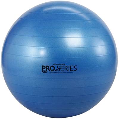 ディーエム SDSエクササイズボール バランスボール（ブルー） 直径：75cm 適応身長：180～190cm【冬トレ】D&M