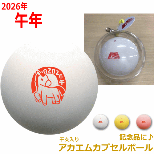 楽天市場】【10%OFFクーポン対象】ダンロップ DUNLOP ソフトテニス