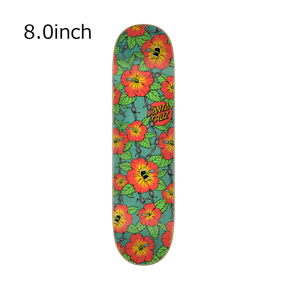 楽天市場】SANTACRUZ SURFBOARD PUMPKIN SEED WHITE 6.2/6.4