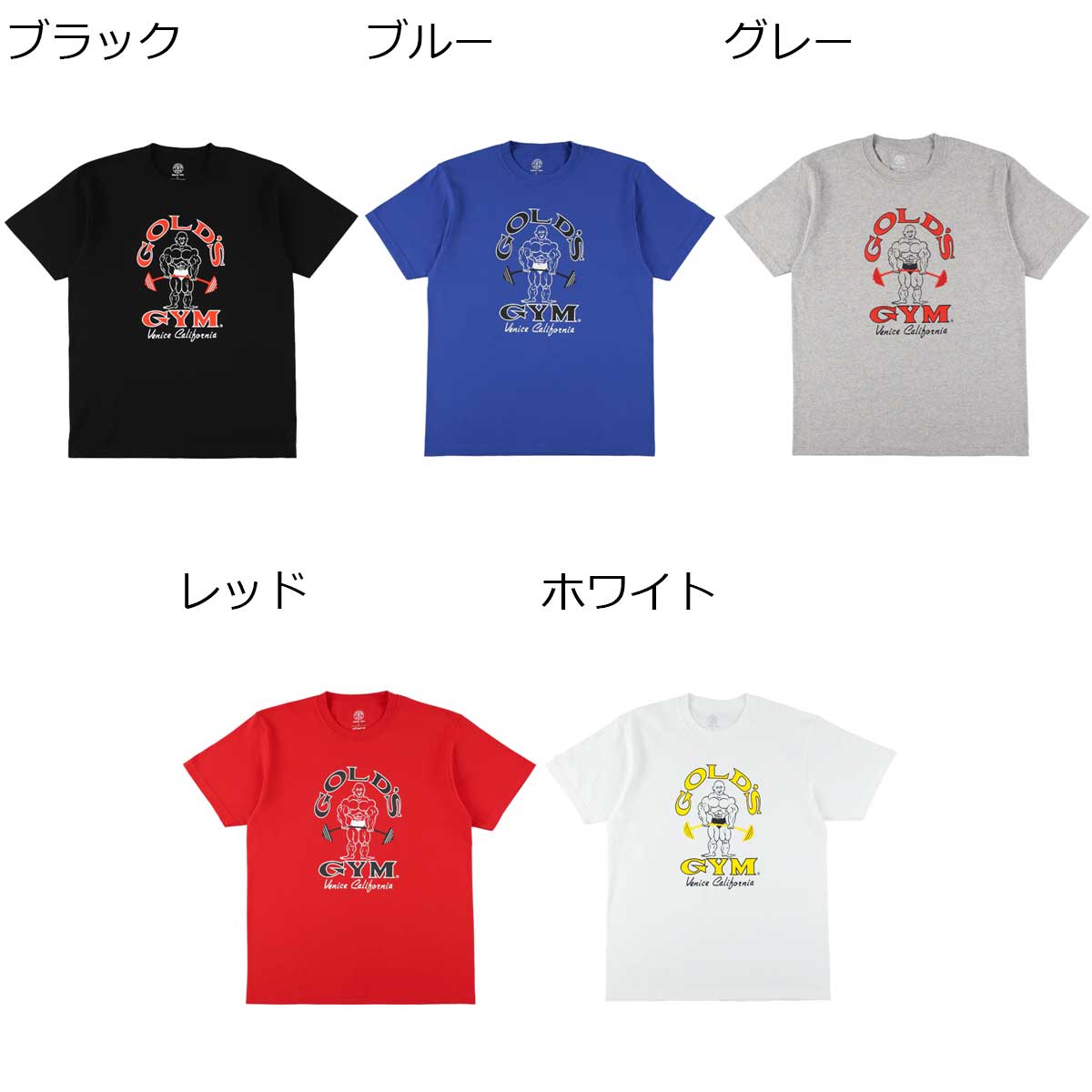 楽天市場】【送料無料 TNK】ゴールドジム GOLD'S GYM ジム