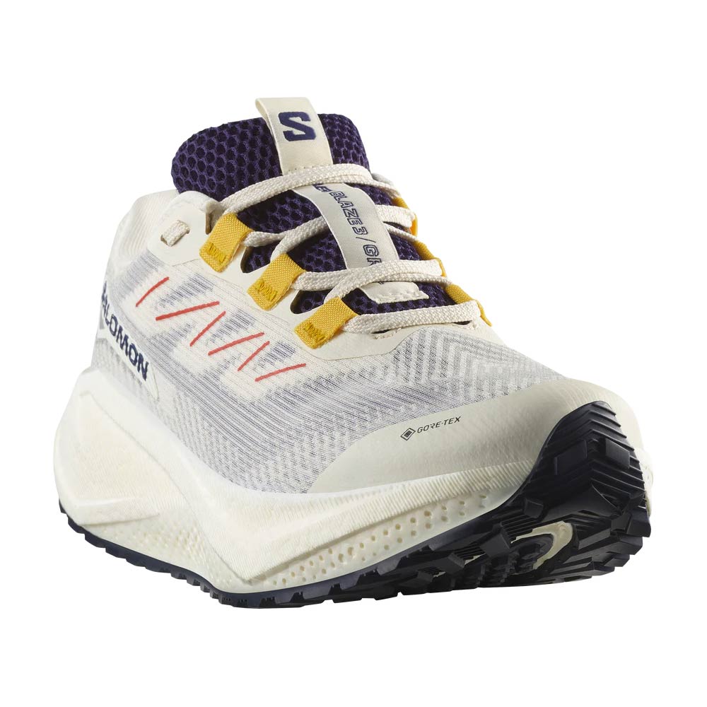 【お買い物マラソン期間中P5倍★4/14 20:00～4/17 9:59まで】サロモン SALOMON ランニング ランシュー シューズ 靴 AERO BLAZE 3 GRVL GORE-TEX L47974100 レディース 女性 26SP 春夏