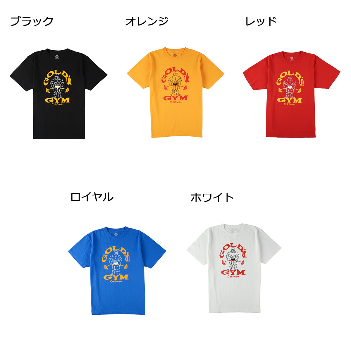 楽天市場】【送料無料 TNK】ゴールドジム トレーニング ウェア メンズ