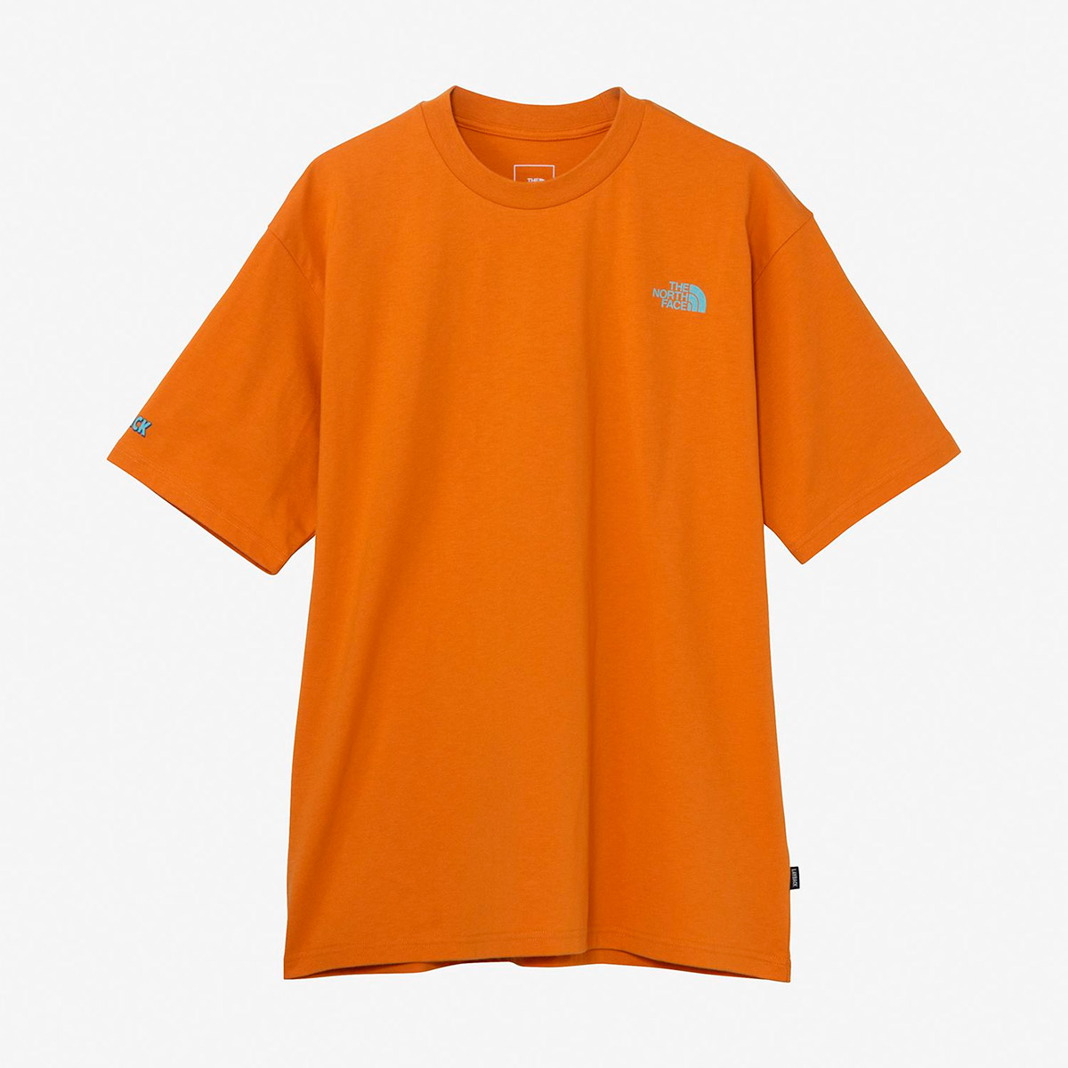 ザ・ノース・フェイス THE NORTH FACE サーフィン サーフ アウトドア カジュアル ウェア 半袖 Tシャツ ショートスリーブ レイバック トライバルティー NT12610-DO メンズ レディース ユニセックス 26SP 春夏