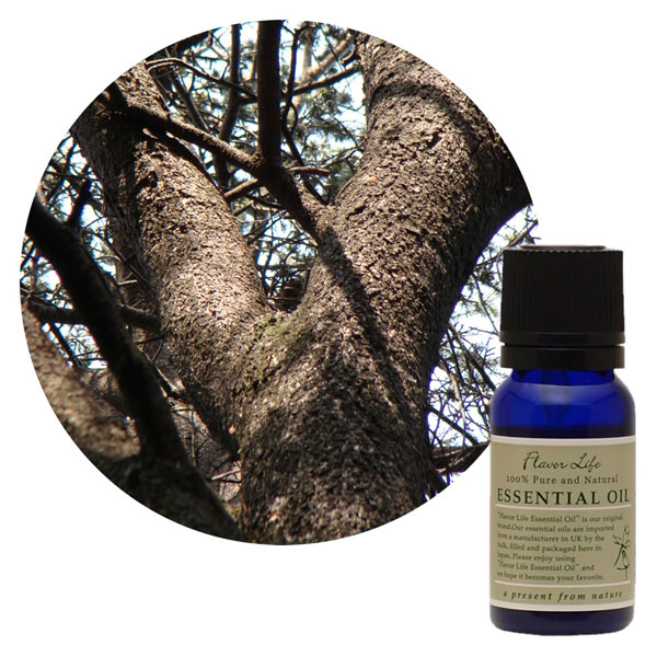 楽天市場】FL エッセンシャルオイル サイプレス 10ml 精油 フレーバー