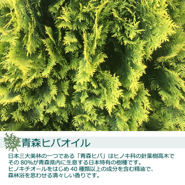 一部予約 青森県産 天然ひば油 500ml 中栓付き 製油 ヒバオイル ヒバ油 お風呂 消臭剤 ペット ヒノキチオール  www.historiacamba.com