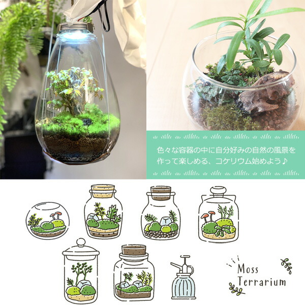 テラリウム コケリウム 用土 ブレンド土 0 5l 最初の 細粒 コケのインテリア 底砂 苔 コケリウム専用ソイル コケ 苔盆栽 日本製 国産
