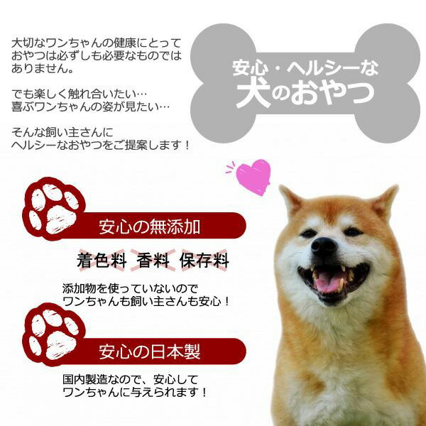 訳あり】 正規品 ニューヨークボンボーン パンプキンパイ 80g レッドハート 犬 おやつ ビスケット オーガニック しつけ 超小型犬 小型犬 中型犬  大型犬 子犬 成犬 シニア 旧パンプキンジンジャー NYBONBONE