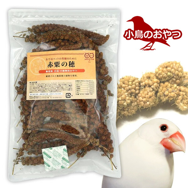 楽天市場】無農薬 赤粟の穂 500g 小鳥の餌 フード 天然 無農薬 小動物にも 小鳥おやつ セキセイインコ ブンチョウ カナリア ハムスター  SMILE PET CLUB : アクアステラ