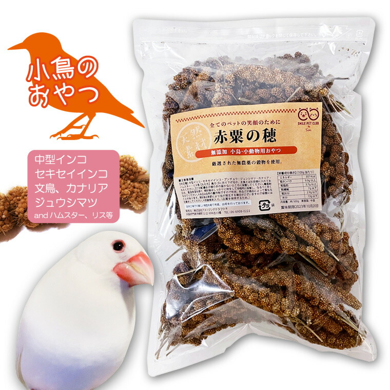 楽天市場】CAP! 鳥の餌 賞味期限2027/1/31 赤粟の穂 500g