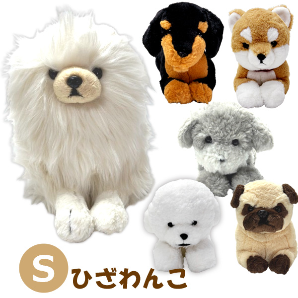 愛犬 ankoわんこシリーズ　ポメラニアン　シェルティ　ダックス　犬　dog 価格の安い♥犬MIX（ポメラニアン×ミニチュアダックスフンド