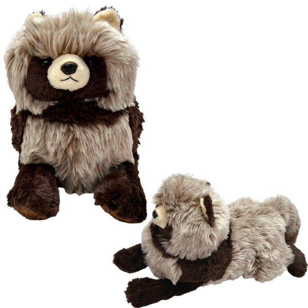 楽天市場】サンレモン ひざたぬき M P-6282 ぬいぐるみ ひざシリーズ