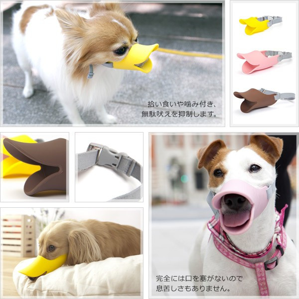 楽天市場 Oppo オッポ Quack クァック Smサイズ ピンク しつけ用 口輪 マズル 小型犬 アヒル口 ペットの雑貨屋さん Spring