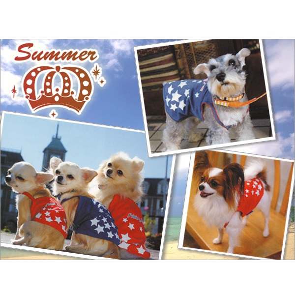 Simplers もこもこスターキャミソール S LD 犬服 超小型犬〜小型犬用 