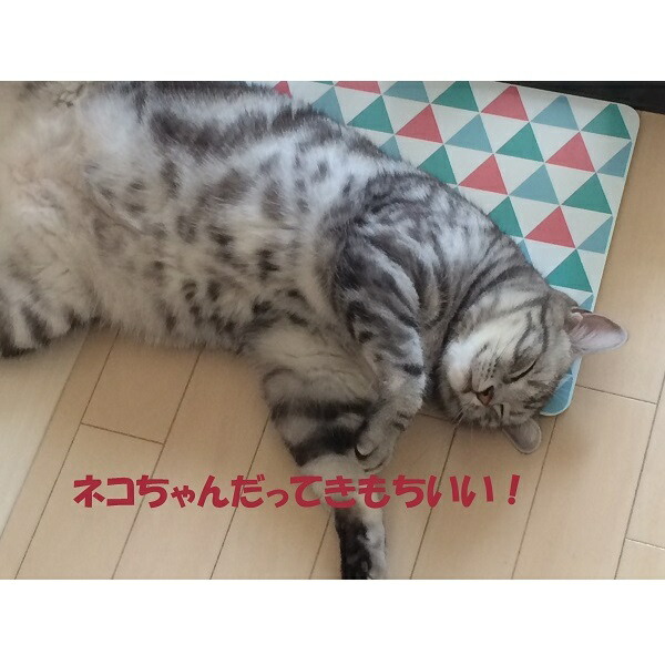 冷えてクールアルミプレートSサイズボーダー柄・フラワーブルー柄暑さ対策夏用品犬・猫用超小型犬クールマット