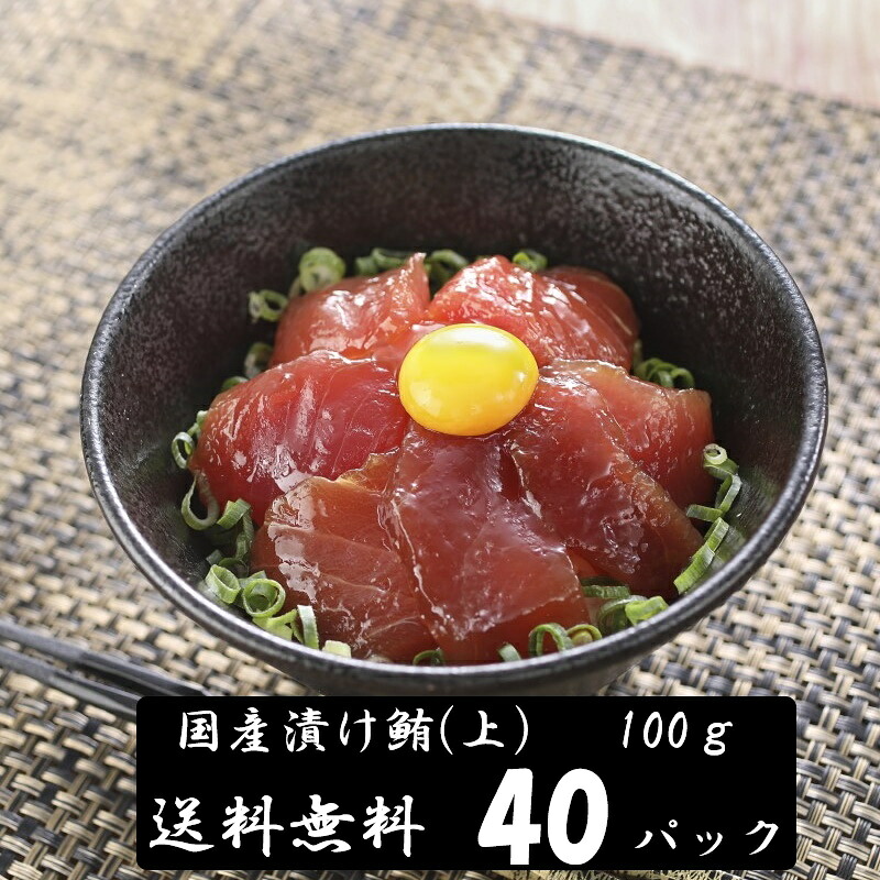 (送料無料）漬けマグロ(上）　100ｇ&times;40パック　国産キハダマグロ　配送不可地域あり づけまぐろ　代引き不可｜スプリング　店